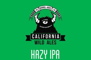 hazy ipa