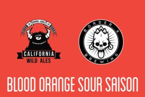 blood-orange-sour-saison