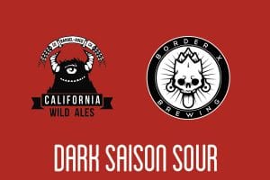 borderx-dark-saison-california-wild-ales
