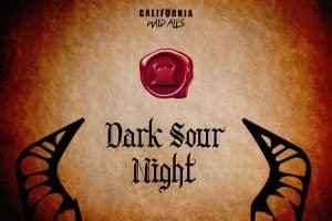 Barrel-Aged Dark Sour Night!
