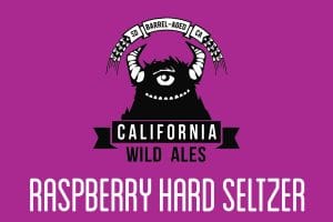 raspberry-hard-seltzer