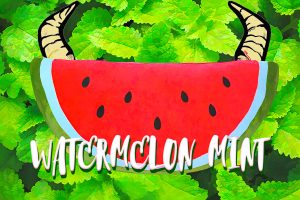 Watermelon Mint Hard Seltzer - California Wild Ales