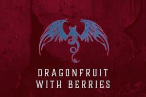 Dragonfruit Wild Ale - California Wild Ales