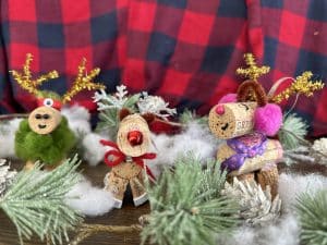 Holiday Ornament Making Party
