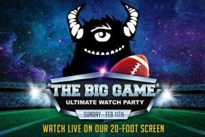 Dive into the Ultimate Super Ball Celebration at Wild Ales!