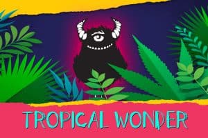 tropical wonder - sour beer