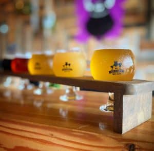 Depart for Flight: A Craft Beer Story from Ocean Beach